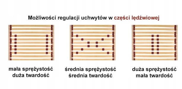 13359009444